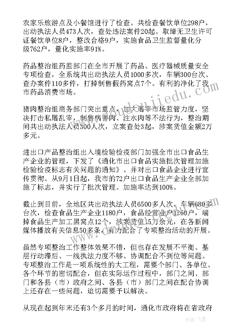 最新大型专项整治工作总结(模板5篇)