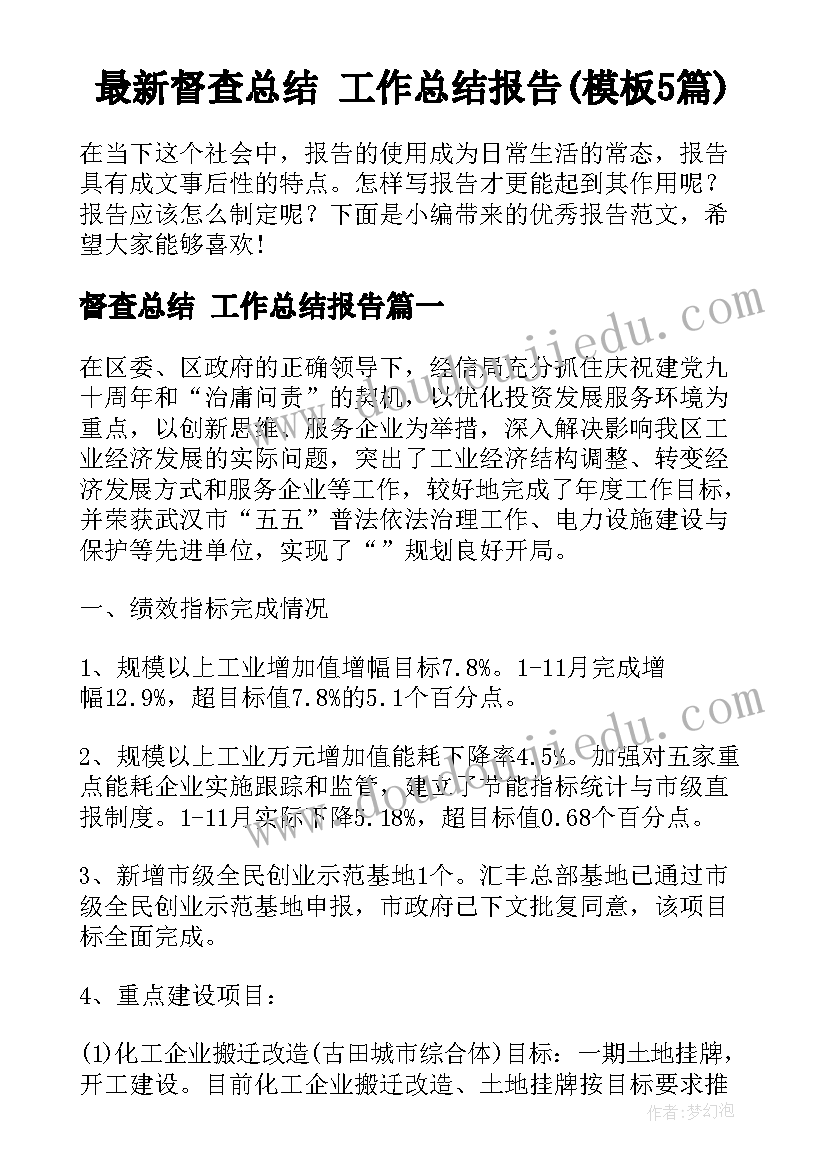 最新督查总结 工作总结报告(模板5篇)