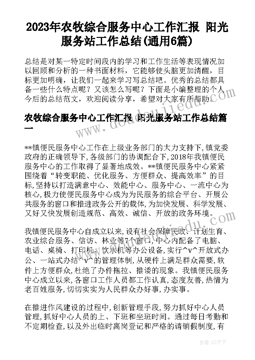 2023年农牧综合服务中心工作汇报 阳光服务站工作总结(通用6篇)