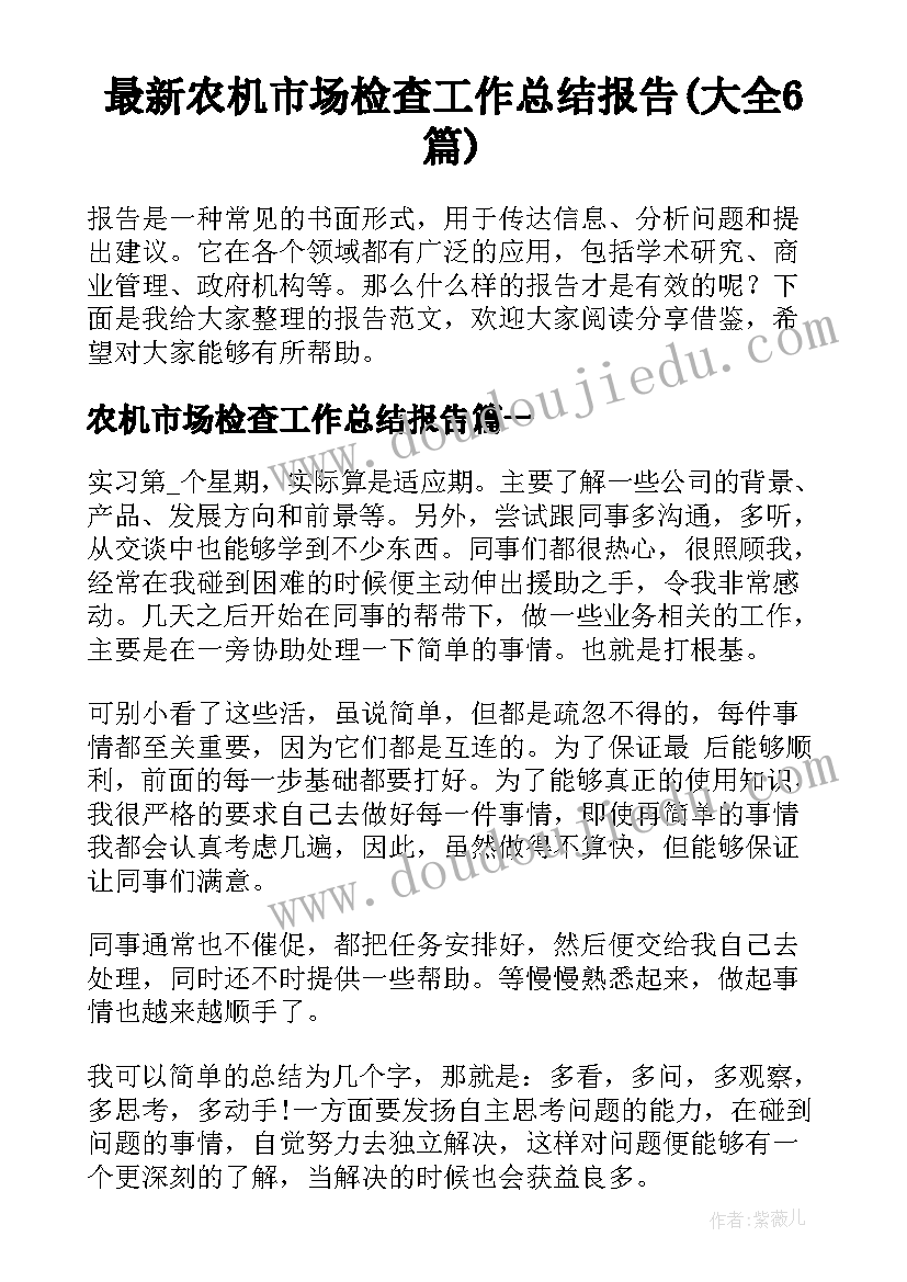 最新农机市场检查工作总结报告(大全6篇)