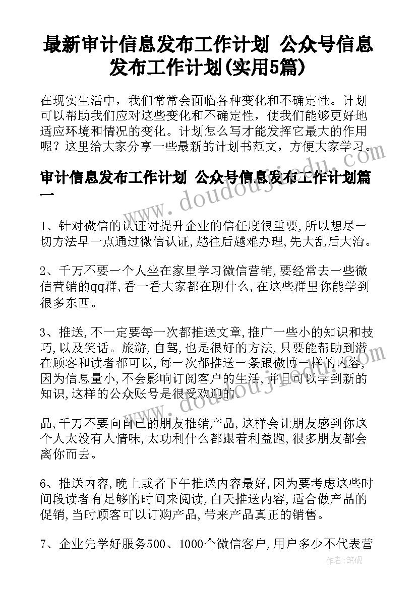 最新审计信息发布工作计划 公众号信息发布工作计划(实用5篇)