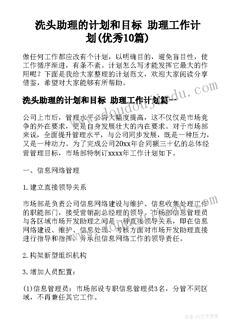 洗头助理的计划和目标 助理工作计划(优秀10篇)