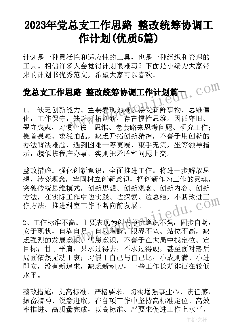 2023年党总支工作思路 整改统筹协调工作计划(优质5篇)