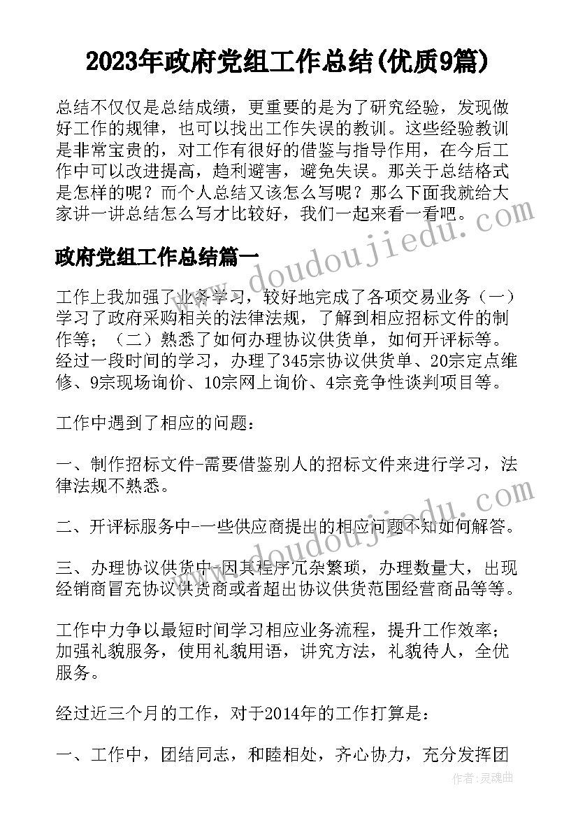 2023年政府党组工作总结(优质9篇)