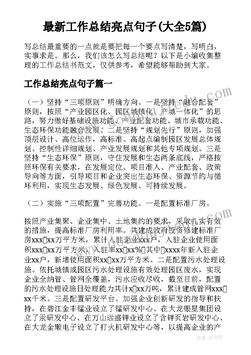 最新工作总结亮点句子(大全5篇)