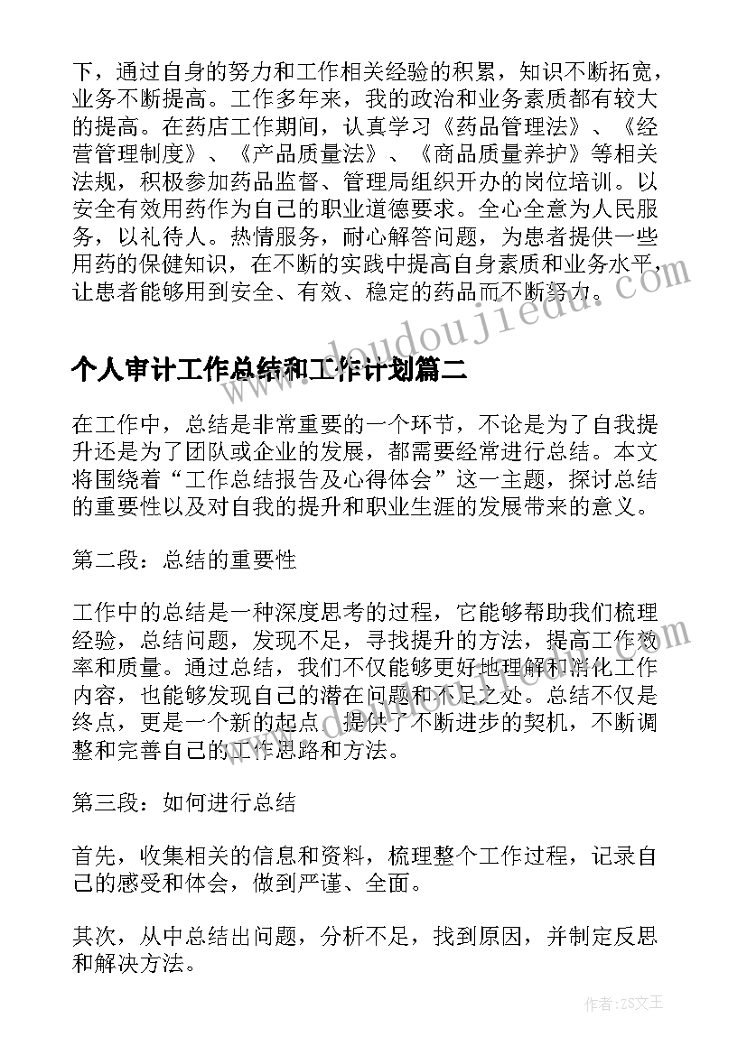 2023年个人审计工作总结和工作计划(精选8篇)