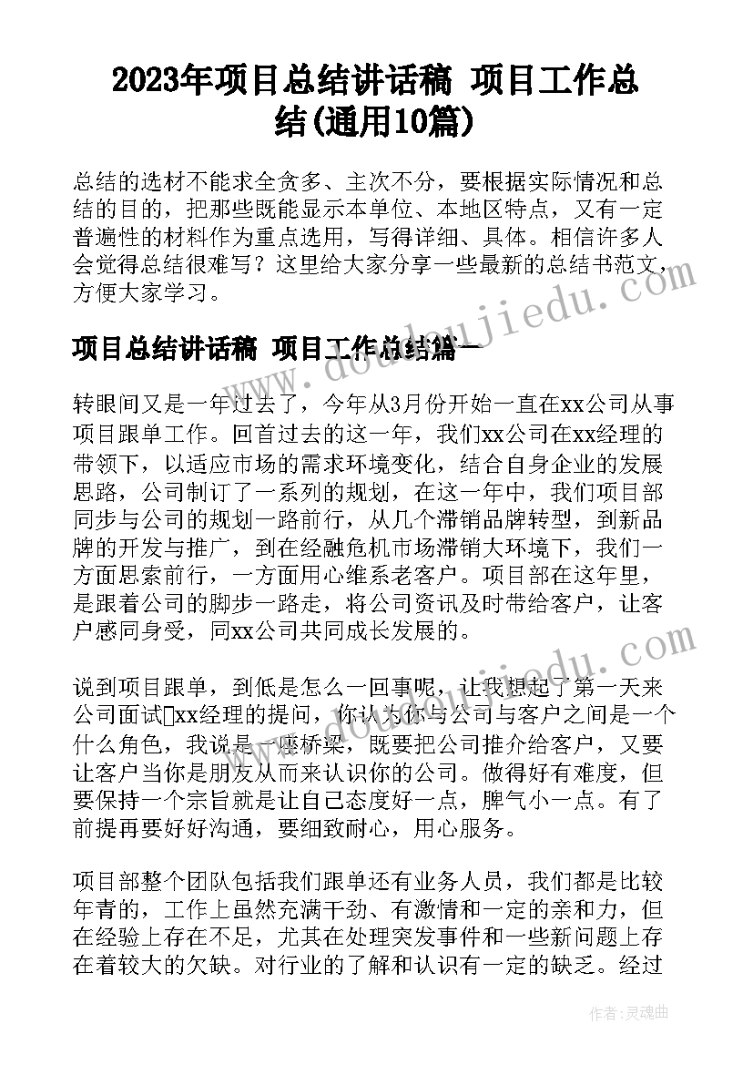 2023年项目总结讲话稿 项目工作总结(通用10篇)