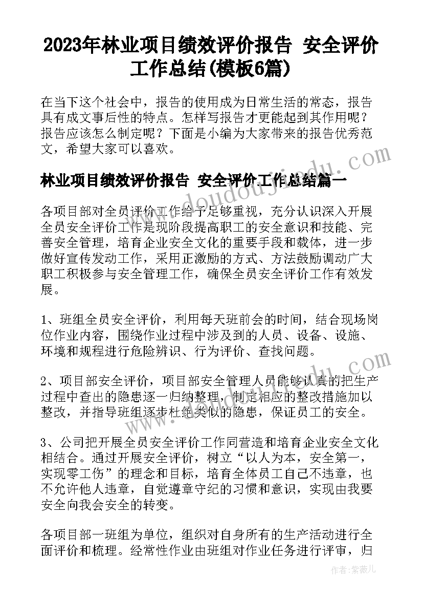 2023年林业项目绩效评价报告 安全评价工作总结(模板6篇)