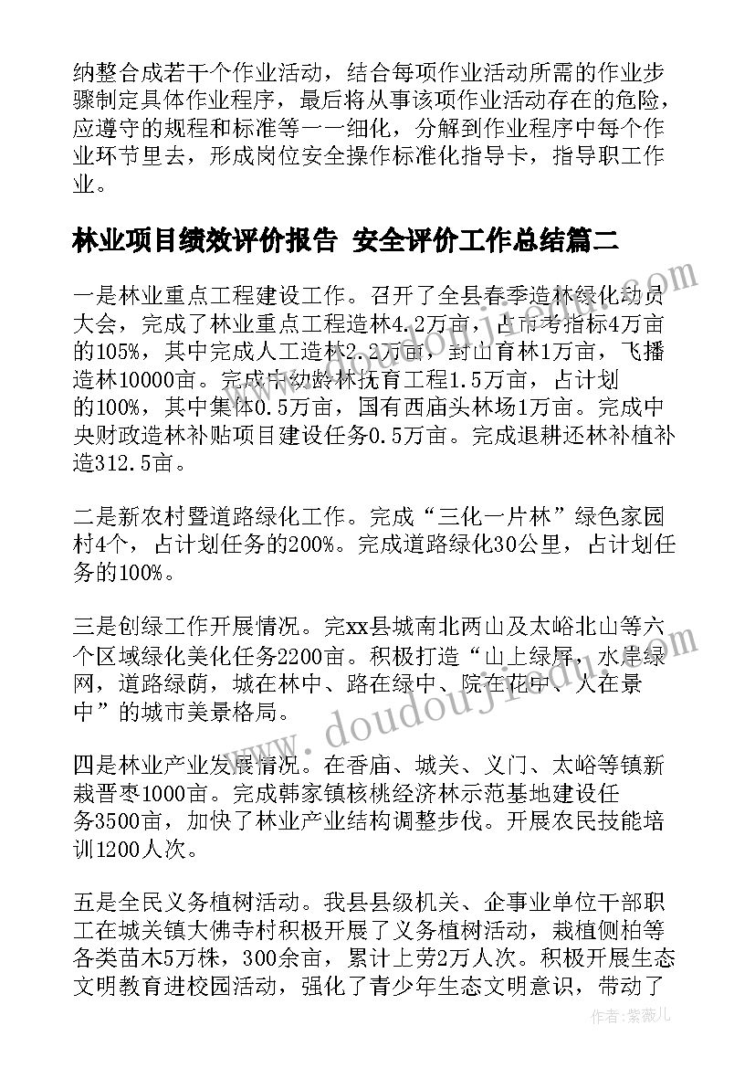 2023年林业项目绩效评价报告 安全评价工作总结(模板6篇)