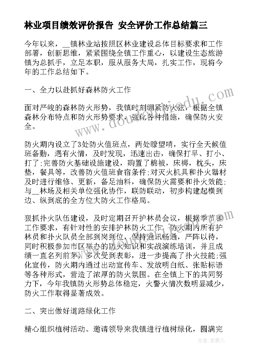 2023年林业项目绩效评价报告 安全评价工作总结(模板6篇)