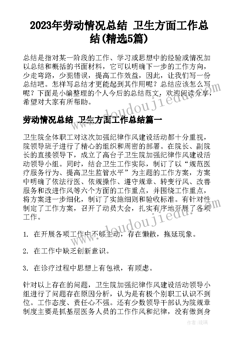 2023年劳动情况总结 卫生方面工作总结(精选5篇)