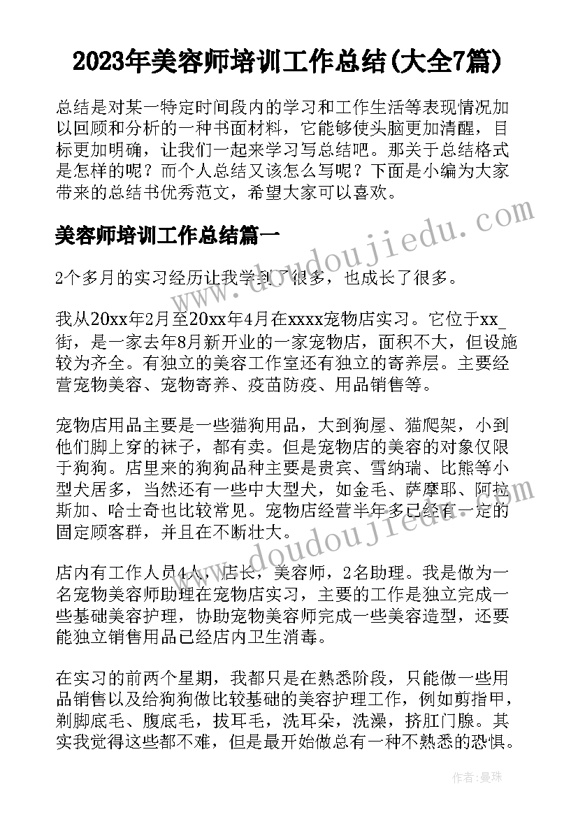 2023年美容师培训工作总结(大全7篇)