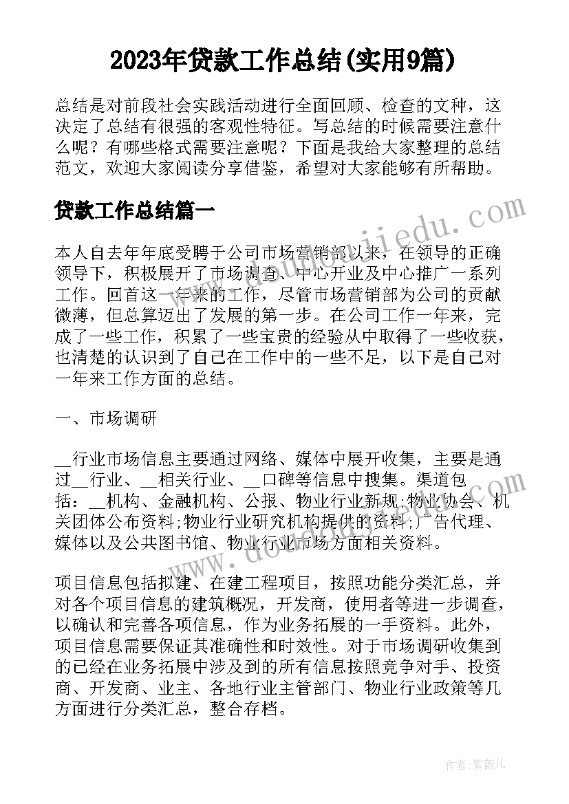 2023年贷款工作总结(实用9篇)