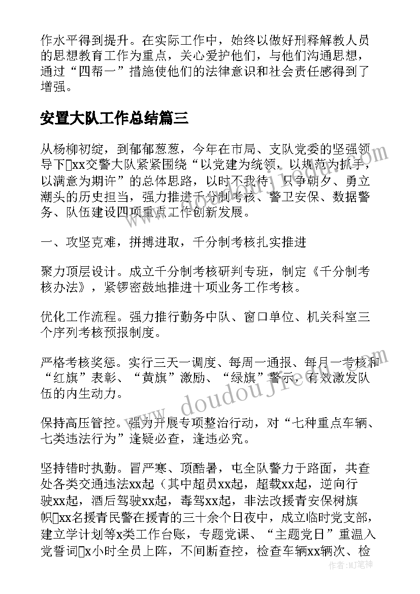 最新安置大队工作总结(通用7篇)