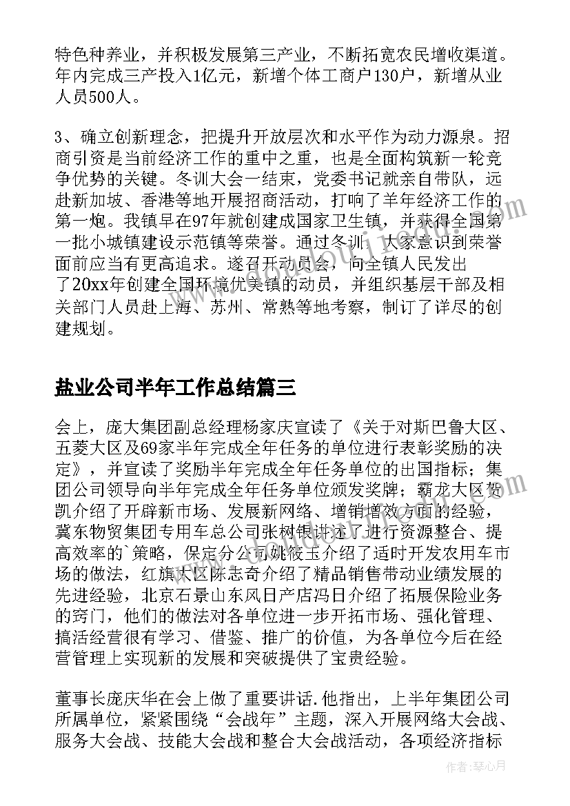 盐业公司半年工作总结(大全5篇)