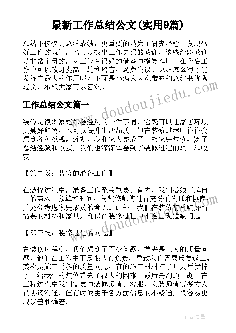 最新工作总结公文(实用9篇)