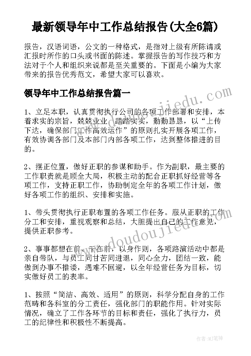 最新领导年中工作总结报告(大全6篇)