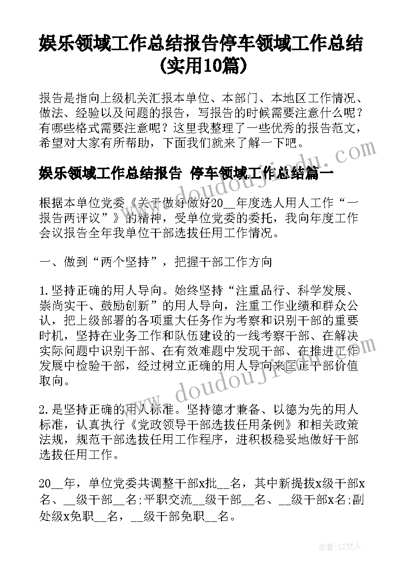 娱乐领域工作总结报告 停车领域工作总结(实用10篇)