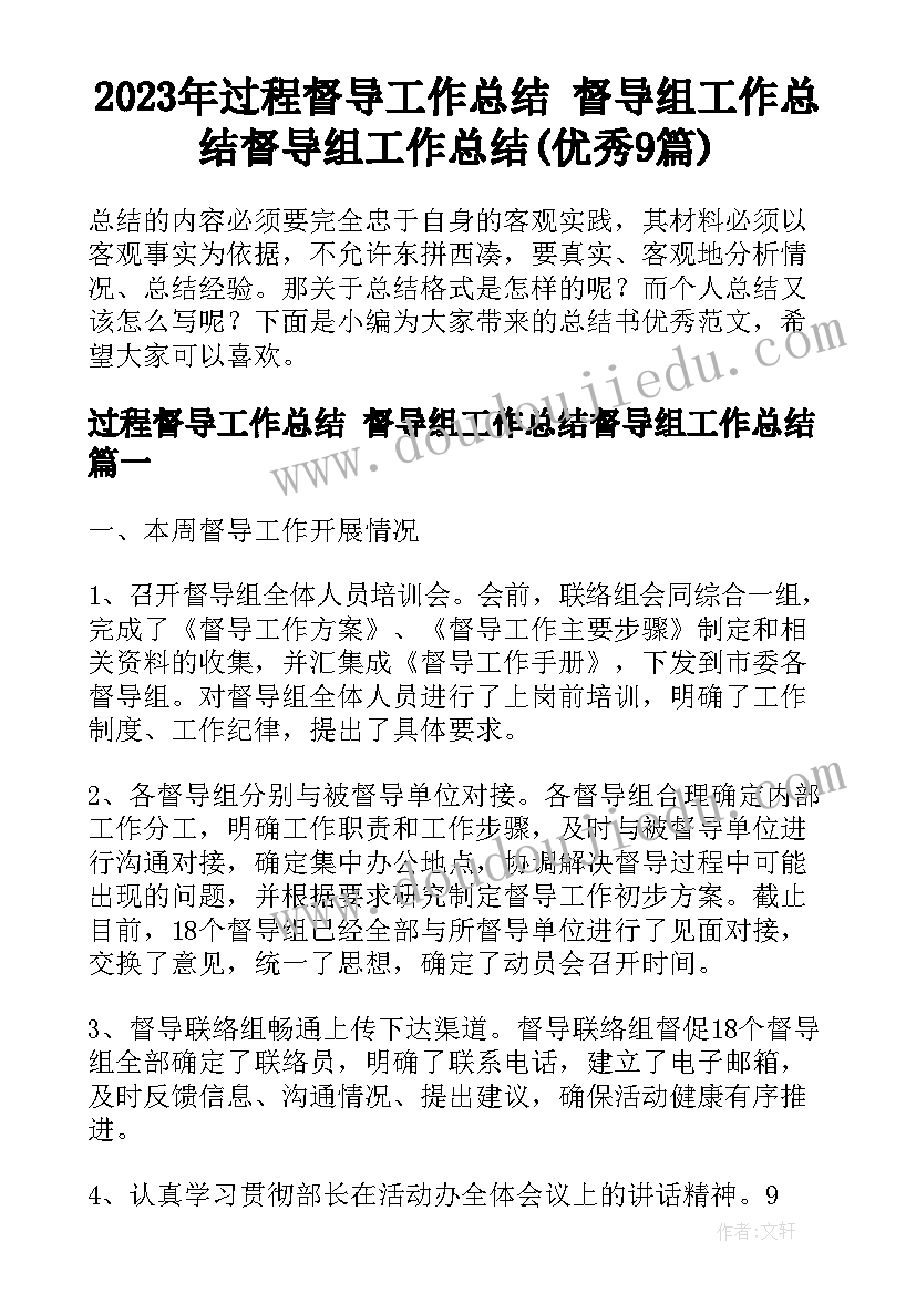 2023年过程督导工作总结 督导组工作总结督导组工作总结(优秀9篇)