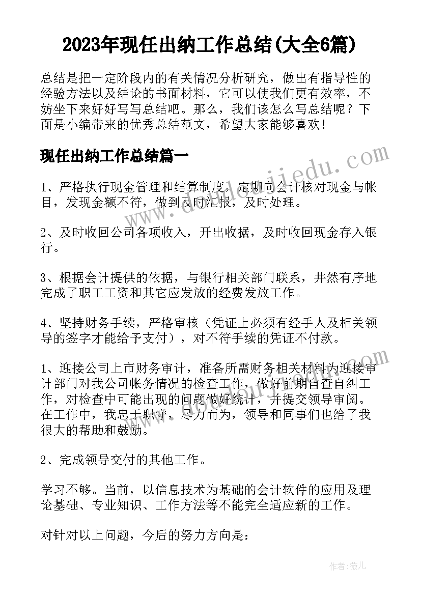 2023年现任出纳工作总结(大全6篇)