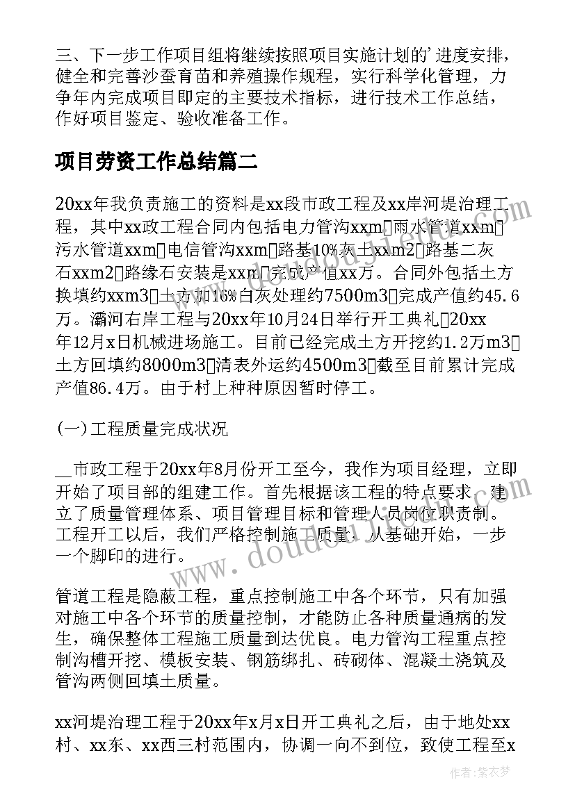 最新项目劳资工作总结(优质5篇)