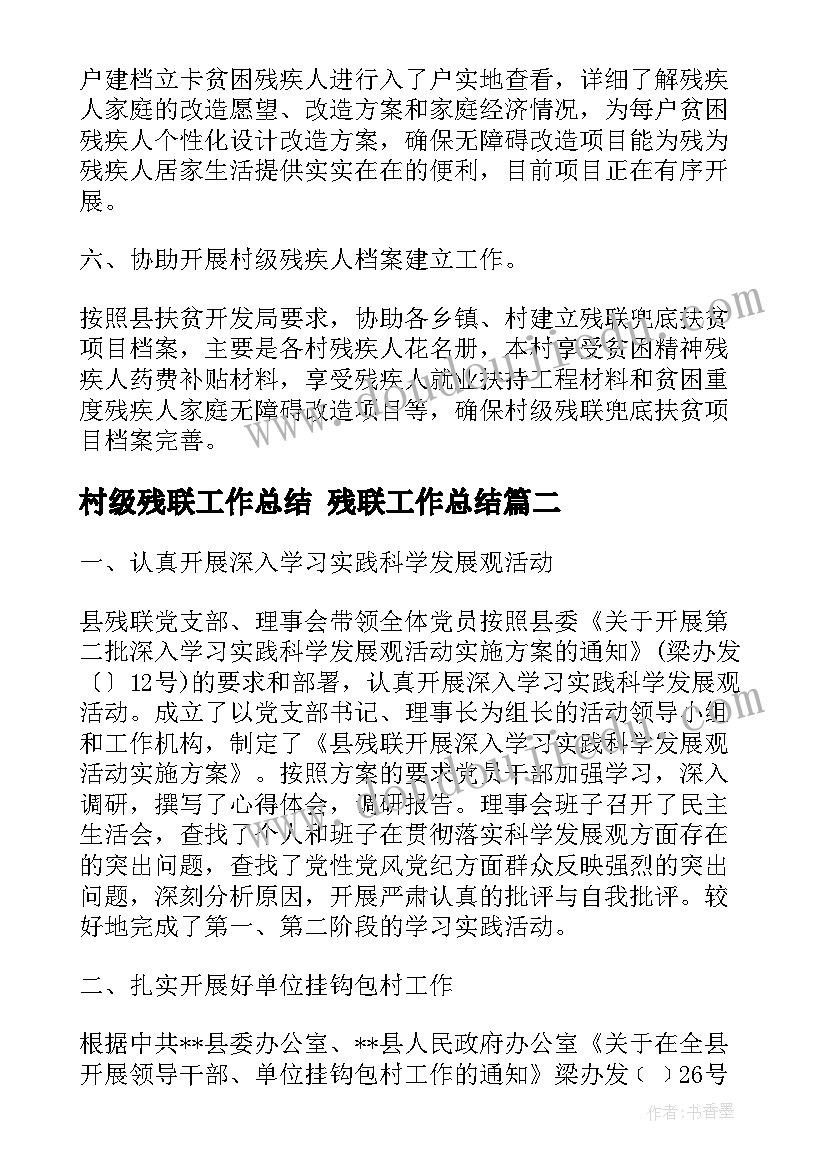 村级残联工作总结 残联工作总结(优质6篇)