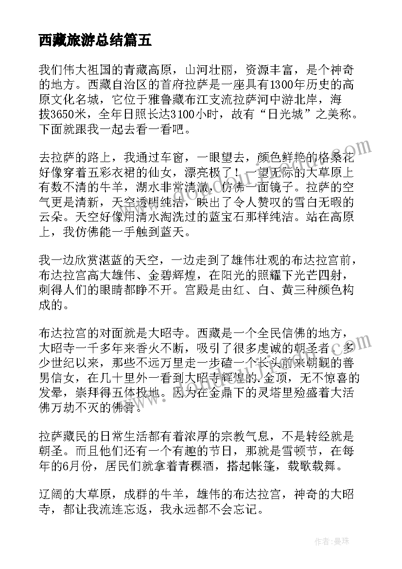 西藏旅游总结(优秀6篇)