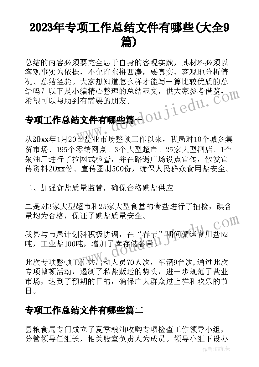 2023年专项工作总结文件有哪些(大全9篇)