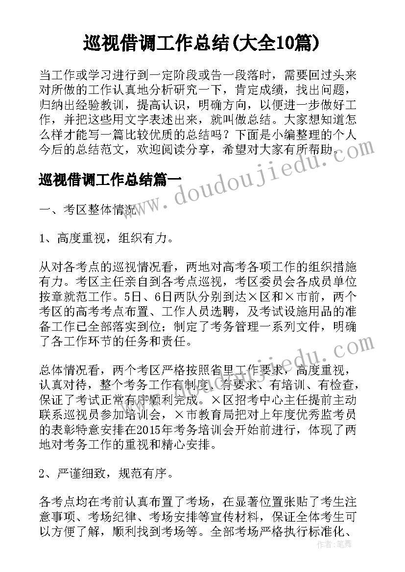 巡视借调工作总结(大全10篇)