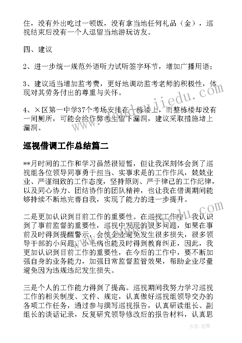 巡视借调工作总结(大全10篇)