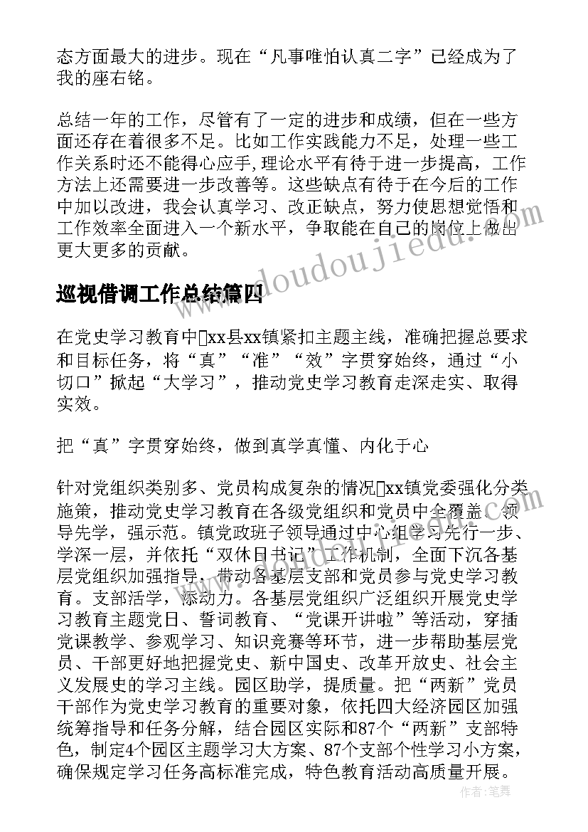 巡视借调工作总结(大全10篇)