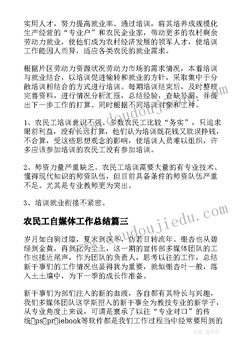 最新农民工自媒体工作总结(通用10篇)