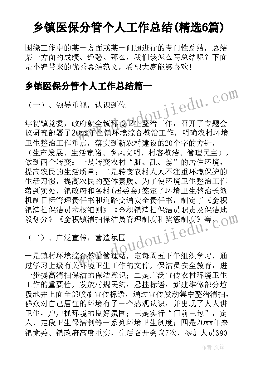 乡镇医保分管个人工作总结(精选6篇)