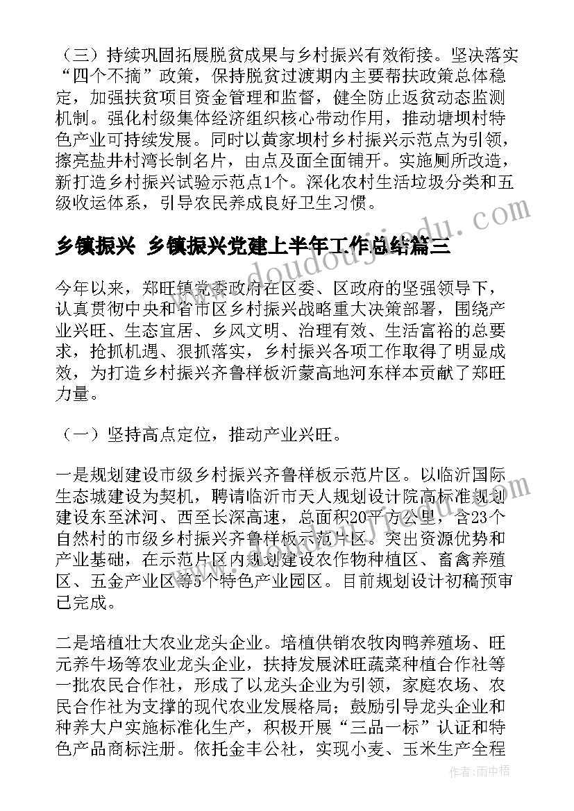 乡镇振兴 乡镇振兴党建上半年工作总结(实用5篇)