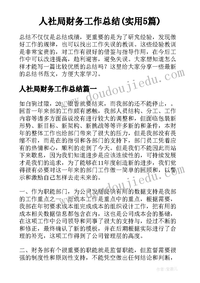 人社局财务工作总结(实用5篇)