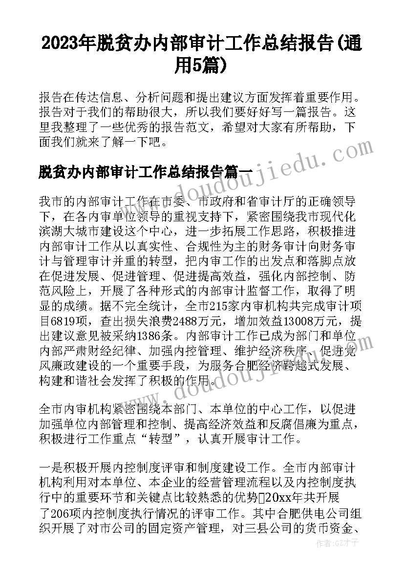 2023年脱贫办内部审计工作总结报告(通用5篇)