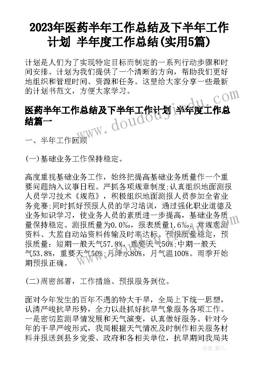 2023年医药半年工作总结及下半年工作计划 半年度工作总结(实用5篇)