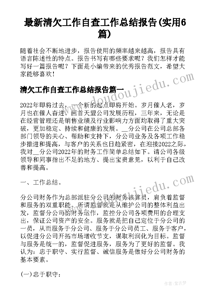 最新清欠工作自查工作总结报告(实用6篇)