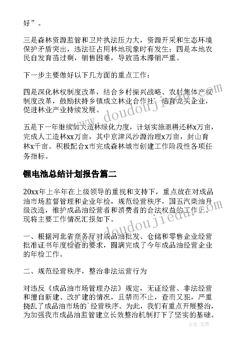 最新锂电池总结计划报告(实用6篇)