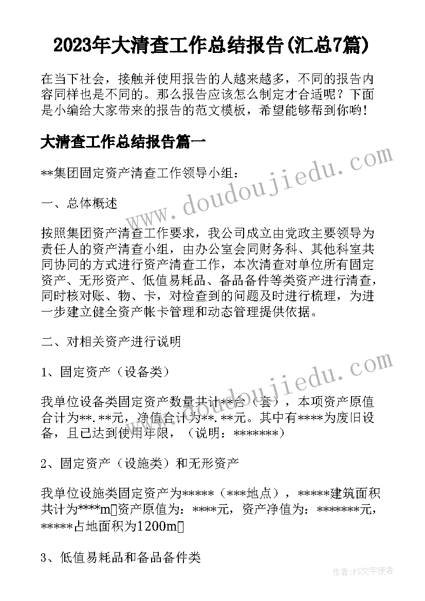 2023年大清查工作总结报告(汇总7篇)