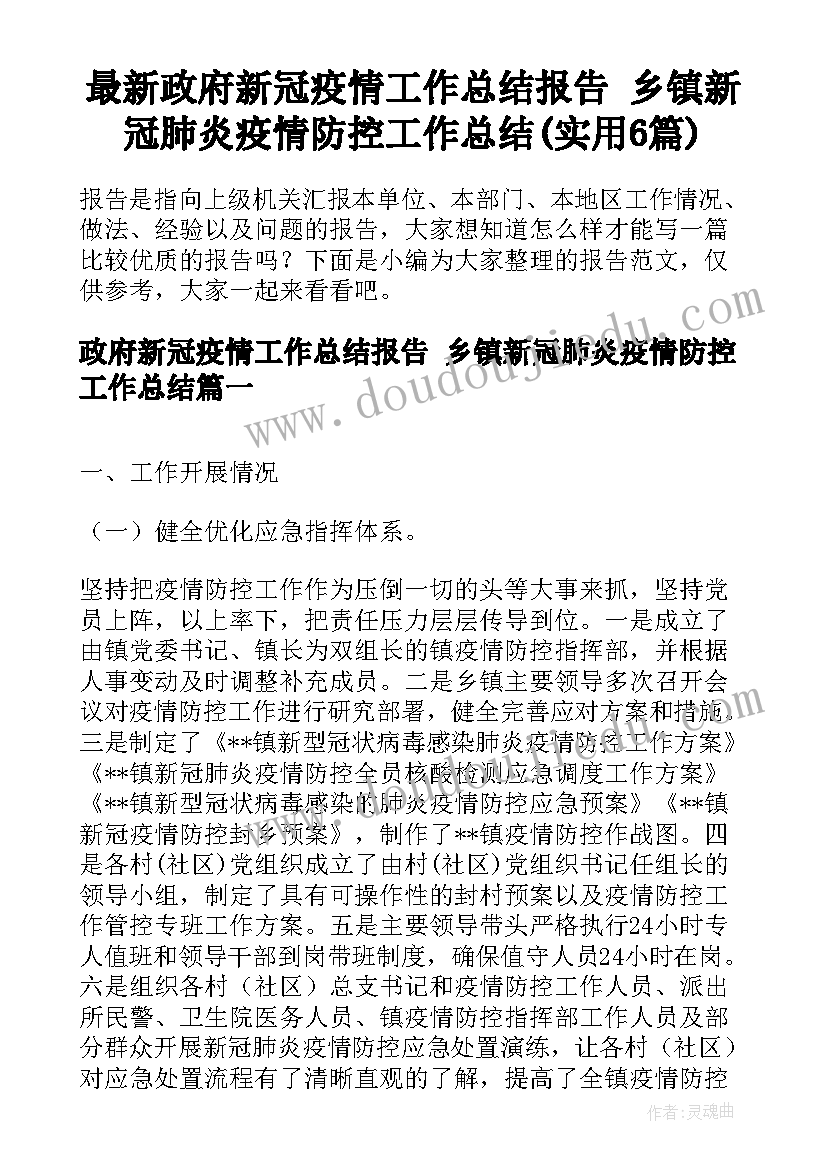 最新政府新冠疫情工作总结报告 乡镇新冠肺炎疫情防控工作总结(实用6篇)