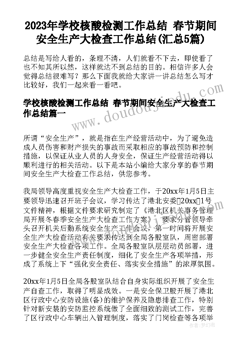 2023年学校核酸检测工作总结 春节期间安全生产大检查工作总结(汇总5篇)