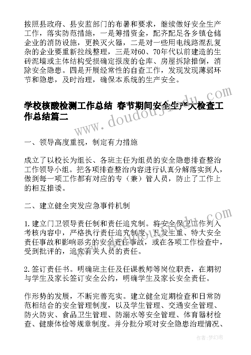 2023年学校核酸检测工作总结 春节期间安全生产大检查工作总结(汇总5篇)