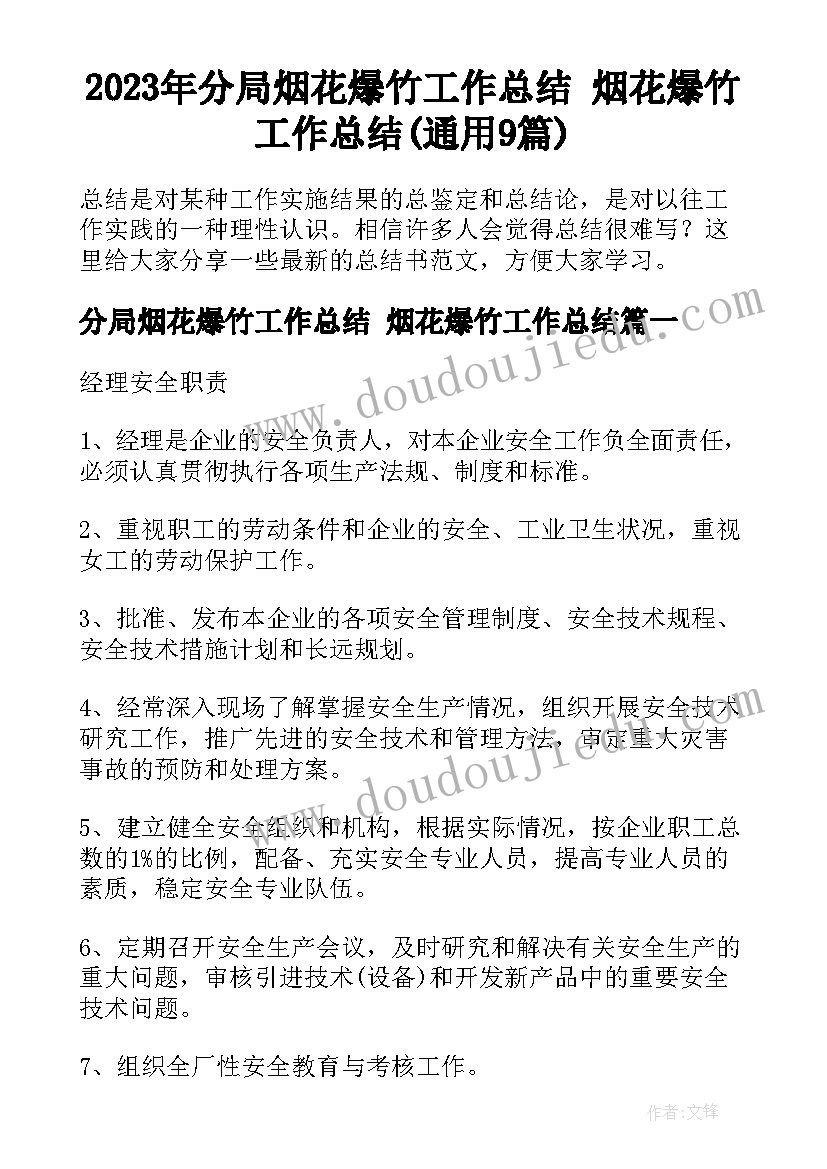 2023年分局烟花爆竹工作总结 烟花爆竹工作总结(通用9篇)