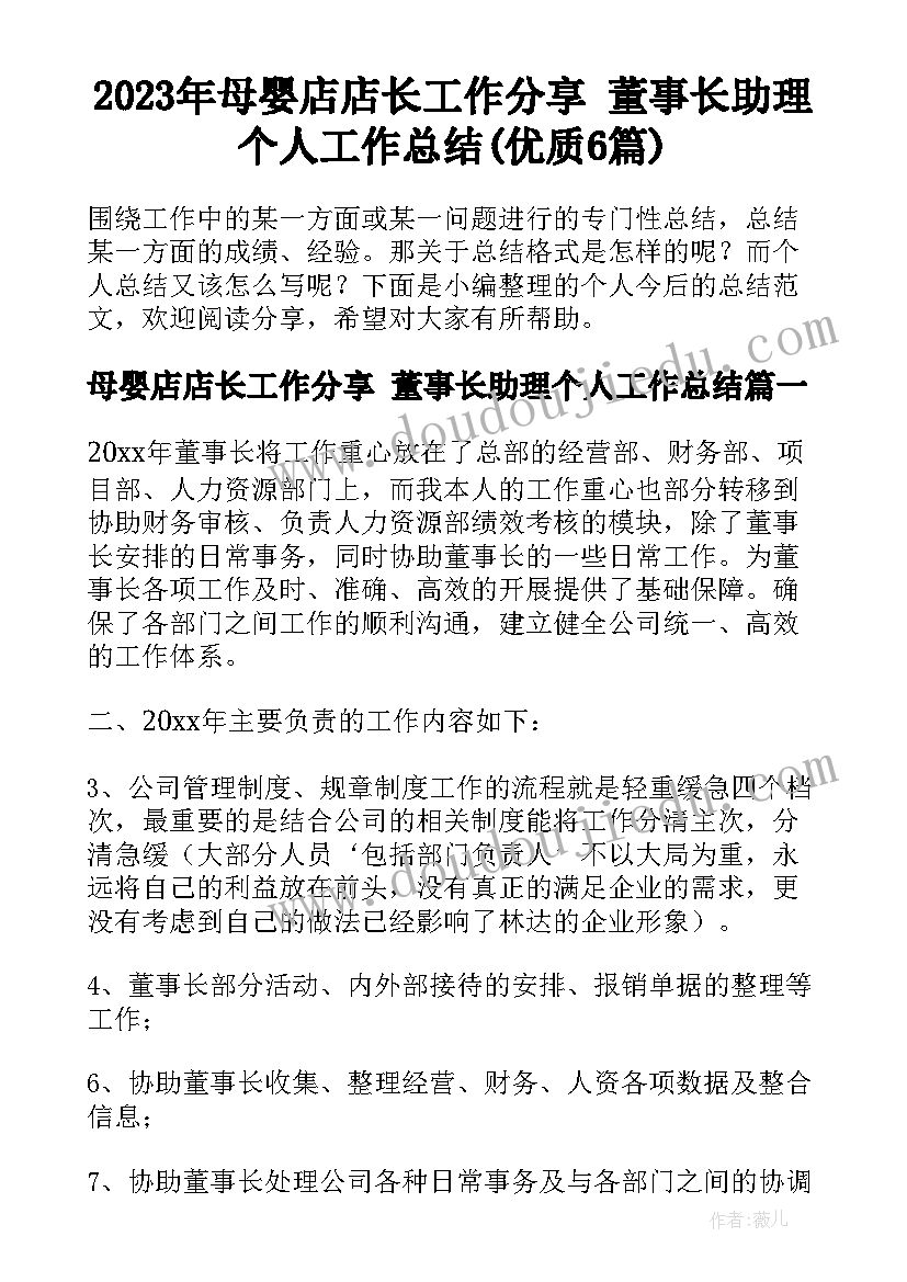 2023年母婴店店长工作分享 董事长助理个人工作总结(优质6篇)