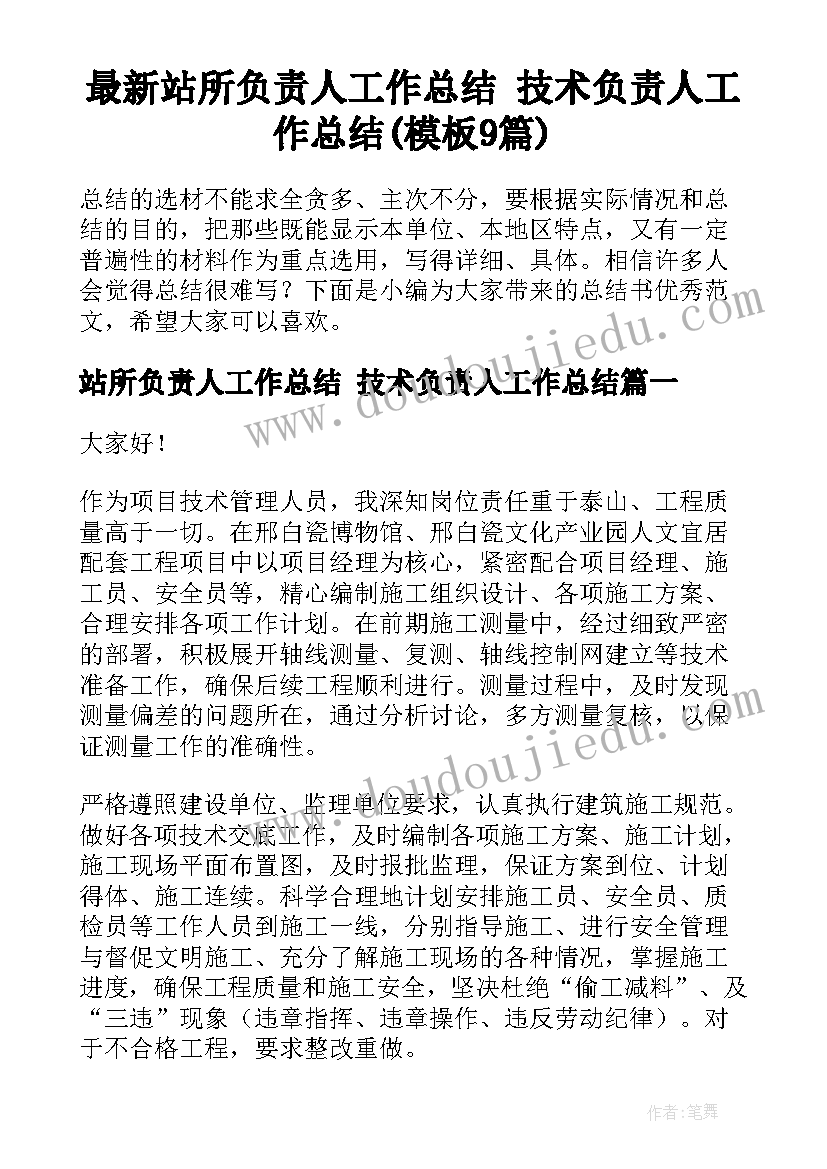 最新站所负责人工作总结 技术负责人工作总结(模板9篇)