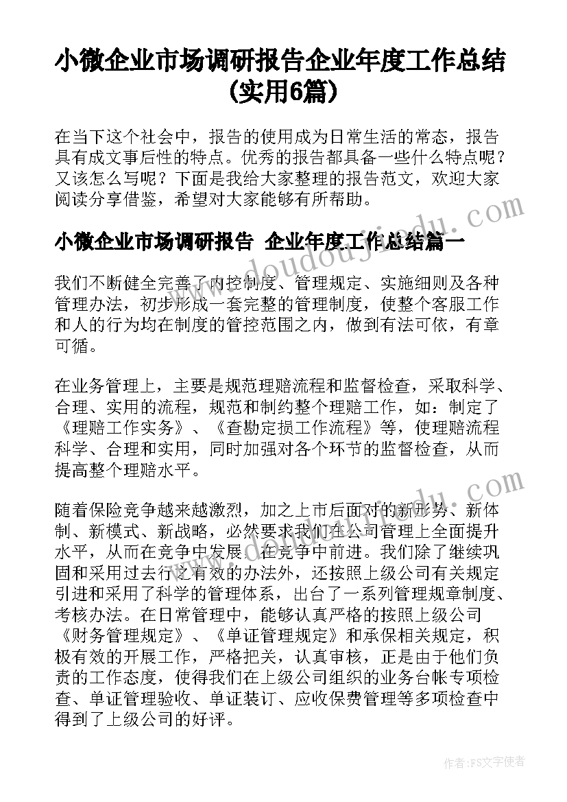 小微企业市场调研报告 企业年度工作总结(实用6篇)