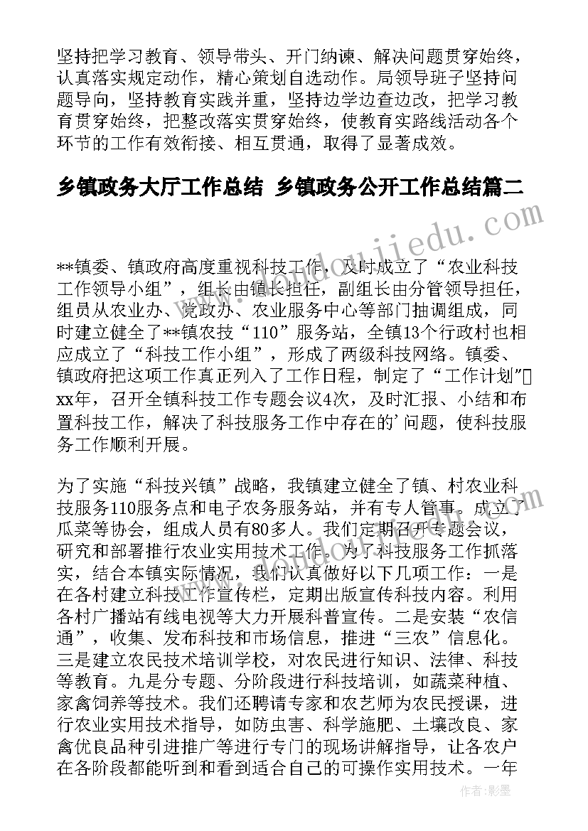 乡镇政务大厅工作总结 乡镇政务公开工作总结(实用7篇)