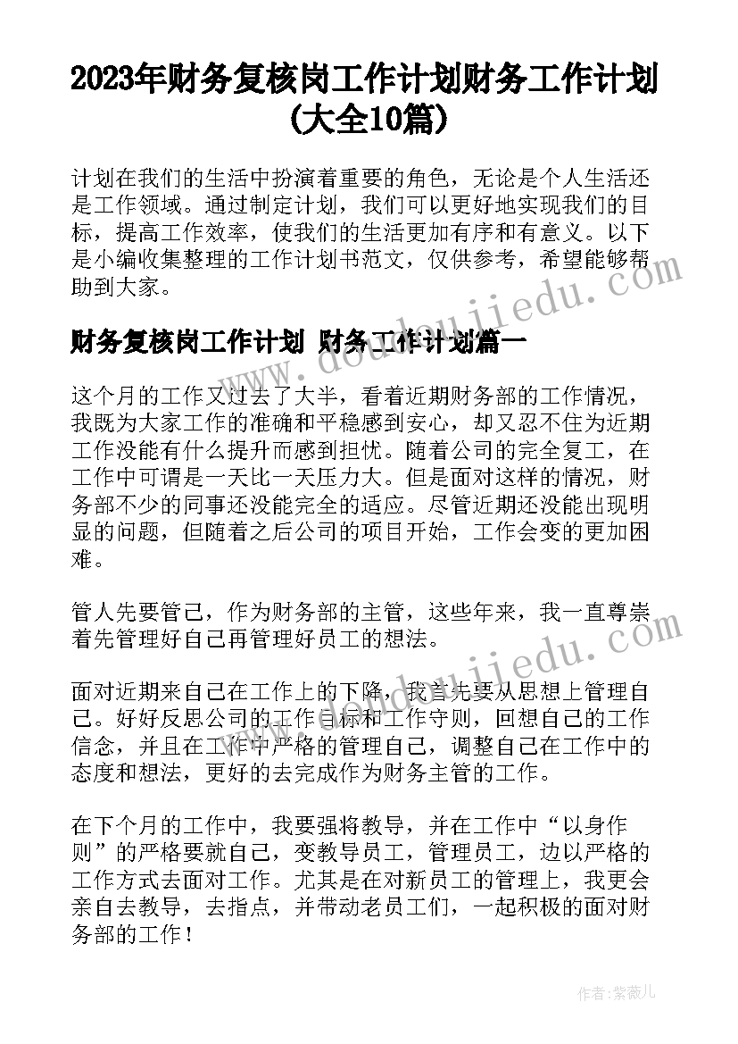 2023年财务复核岗工作计划 财务工作计划(大全10篇)