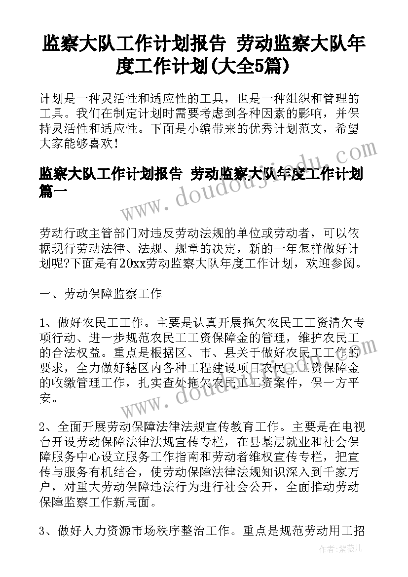 监察大队工作计划报告 劳动监察大队年度工作计划(大全5篇)